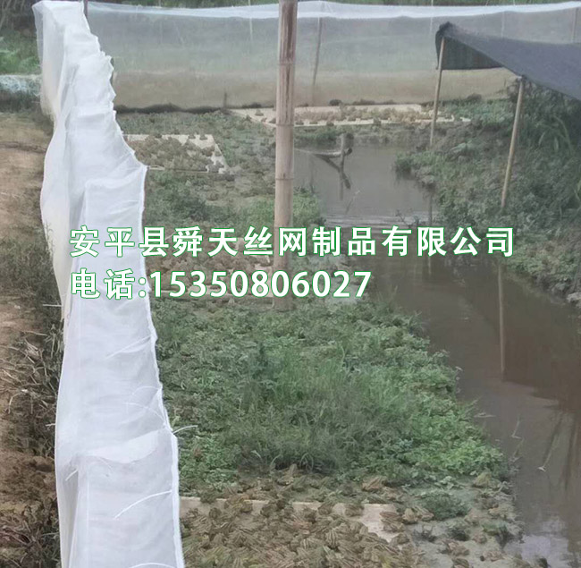 青蛙食台网